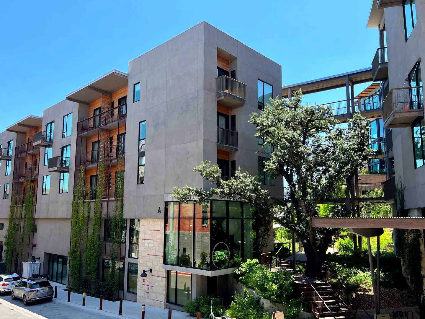 Hotel Magdalena on South Congress in Austin, Texas, a four-story hotel built around a preserved heritage oak courtyard